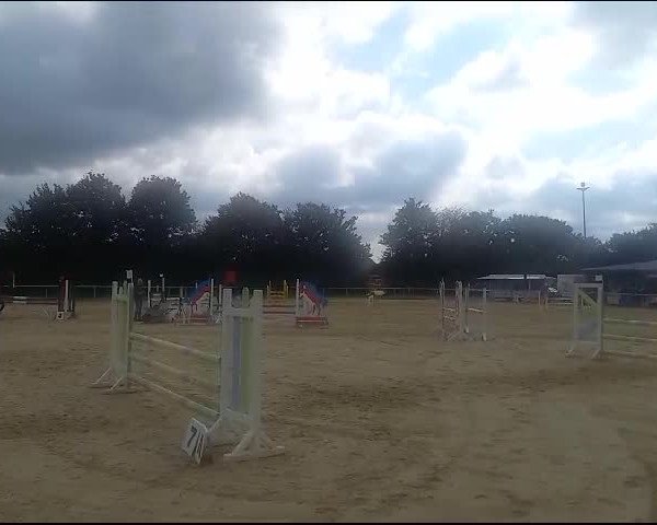 Reitturnier Wadersloh 2023