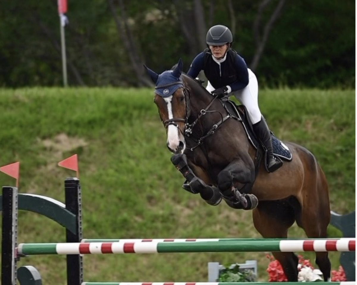 Springpferd Santa Rosa Dante (Mexikanisches Reitpferd , 2017, von Gangster)