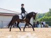 dressage horse Makkuro (German Sport Horse, 2017, from Morricone)