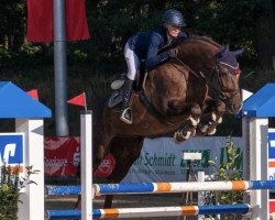 jumper Vallerie 14 (Hanoverian, 2011, from Valentino)