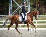 jumper Hanka (German Riding Pony, 2009, from Baccarat)