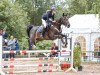 jumper Quibell 39 (Holsteiner, 2018, from Quibery 3)