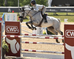 jumper Reemah O.l. (Belgian Warmblood, 2013, from Thunder van de Zuuthoeve)