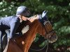 dressage horse Timms Pepe (German Riding Pony, 2011, from Steendieks Prince of Glory)