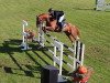 jumper Luigi O. (German Sport Horse, 2011, from Lafitte)