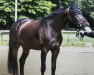 broodmare Ealitha (Oldenburg, 2017, from Feinrich)