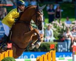 jumper Opium du Soufflet (Swiss Warmblood, 2009, from Ogano Sitte)