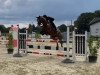 jumper Liberty 382 (Oldenburg show jumper, 2012, from Lordanos)