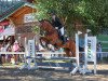 jumper Mister Hops (KWPN (Royal Dutch Sporthorse), 2008, from Atlantic VDL)