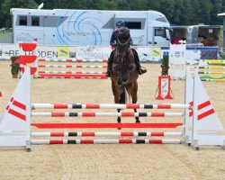 jumper Charity Vilonya (Austrian Warmblood, 2015, from FBW Cayton)