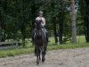 dressage horse Dion 2 (Westphalian, 2005)