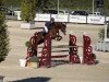 jumper Call me Cora (Oldenburg show jumper, 2016, from Coupe de Coeur 2)