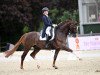 dressage horse Luke Filewalker Hs (Hanoverian, 2011, from Lord Loxley I)