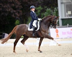 dressage horse Luke Filewalker Hs (Hannoveraner, 2011, from Lord Loxley I)