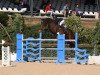 Springpferd Karisma De Laubry (Belgisches Warmblut, 2010, von Nabab de Rêve)