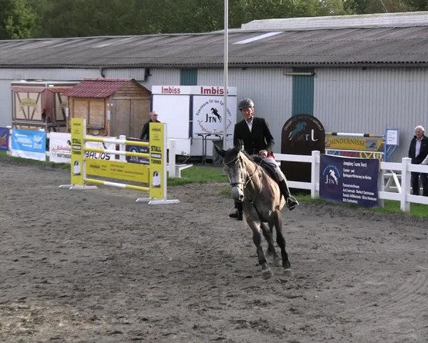 Reitturnier Mildstedt - JTN 2023