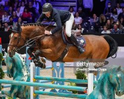 Springpferd Carrousel du Lys (Selle Français, 2012, von Untouchable M)