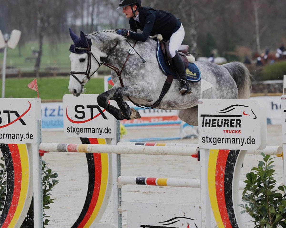 broodmare Hamburg (Holsteiner, 2015, from Cannavaru)