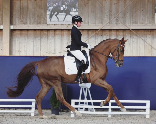 dressage horse Marta Da Silva (Oldenburg, 2019, from Maracana)