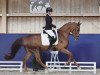 dressage horse Marta Da Silva (Oldenburg, 2019, from Maracana)