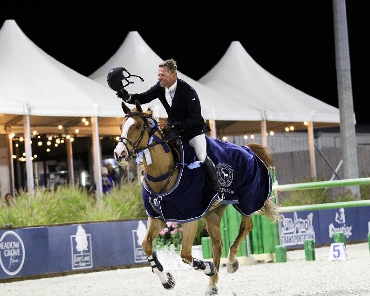 Springpferd Etalon (KWPN (Niederländisches Warmblut), 2009)