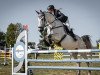 jumper Camparie 3 (German Sport Horse, 2010, from Camarque 3)