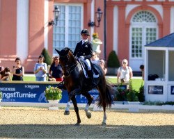 dressage horse Beryll (Westphalian, 2016, from Callaho's Benicio)