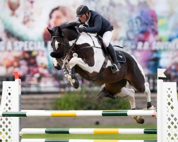 Springpferd Gipsy de L'Epinette (Belgium Sporthorse, 2012, von Button Sitte)
