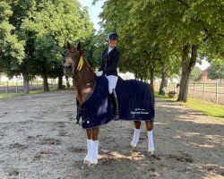 dressage horse Eyecatcher (Nederlands Welsh Ridepony, 2010, from Heidehof's Don Diego)