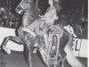 Deckhengst Fountain of Youth (American Saddlebred Horse, 1972, von Yorktown)