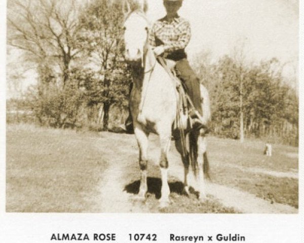 broodmare Almaza Rose ox (Arabian thoroughbred, 1956, from Rasreyn ox)