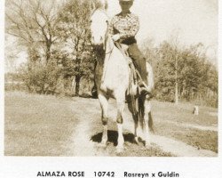 broodmare Almaza Rose ox (Arabian thoroughbred, 1956, from Rasreyn ox)