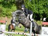 jumper Bolin R (Oldenburg show jumper, 2018, from Balou du Rouet)