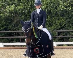 dressage horse Ronja 2256 (Westphalian, 2009, from Rockwell)