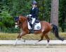 dressage horse Winton Romillie (Welsh mountain pony (SEK.A), 2010, from Crumpwell Fraser)