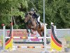 jumper Nasir THC (anglo european sporthorse, 2016, from Neos 2)