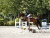 jumper Caribo 40 (Hanoverian, 2017, from Balou Peggio)