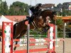 jumper Nadal 13 (KWPN (Royal Dutch Sporthorse), 2018, from Quasimodo Z)