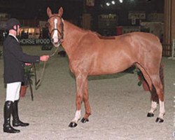 broodmare Hermes de Baussy (Selle Français, 1995, from Papillon Rouge)