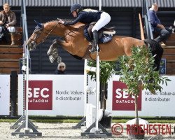 Springpferd Diadem de Revel Vg (Dänisches Warmblut, 2010, von Diamant de Revel)