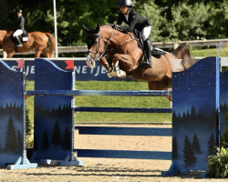 Springpferd Fanatic D'Alphi (Belgium Sporthorse, 2011, von Ogano Sitte)