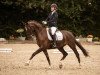 dressage horse Full Moon 3 (Hanoverian, 2011, from Fifty Cent)