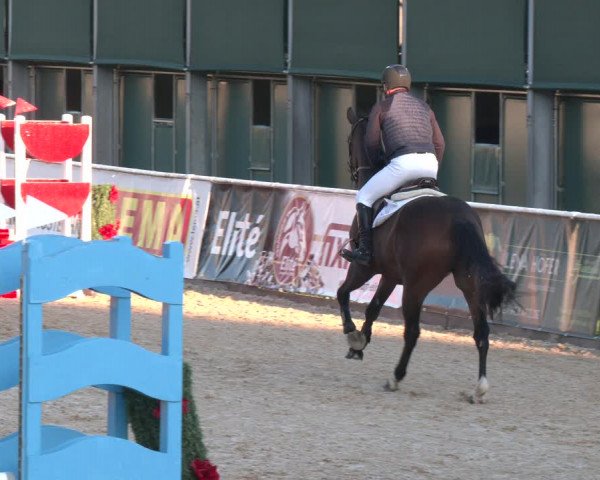 Reitturnier Ranshofen - Braunau am Inn 2023