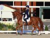 dressage horse Eppo (KWPN (Royal Dutch Sporthorse), 2009, from Zjengis Khan)