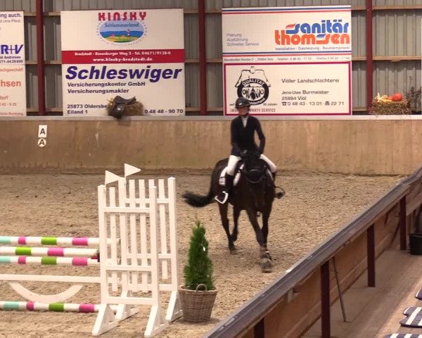 Reitturnier Behrendorf 2023