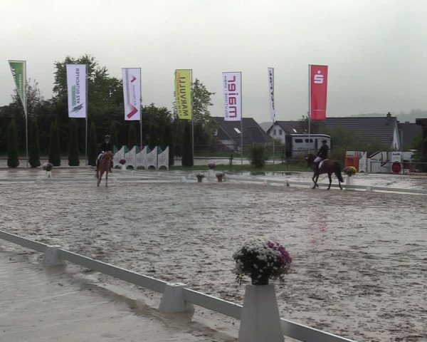 Reitturnier Meinerzhagen 2021