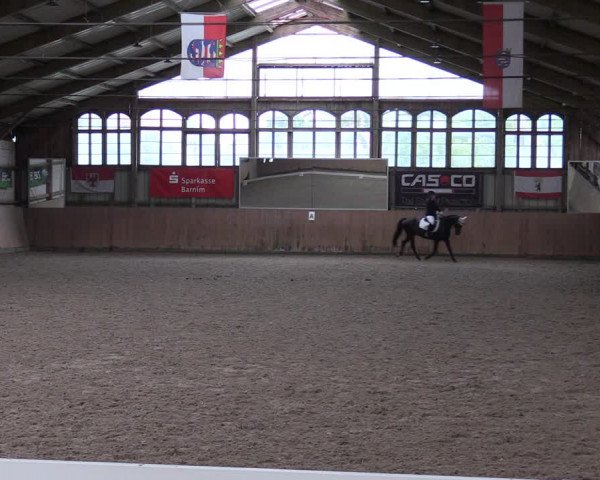 Reitturnier Elisenau 2023