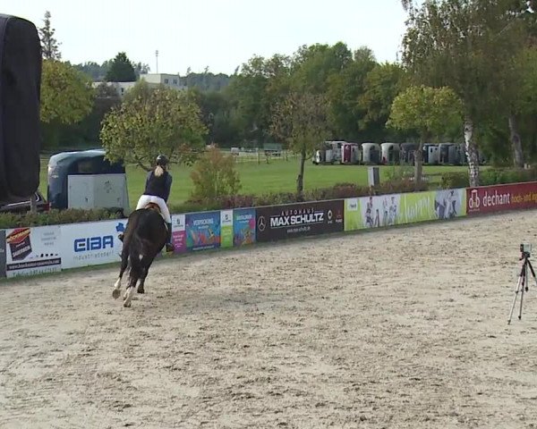 Reitturnier Frankenhof-Sonnefeld/Ofr. 2023