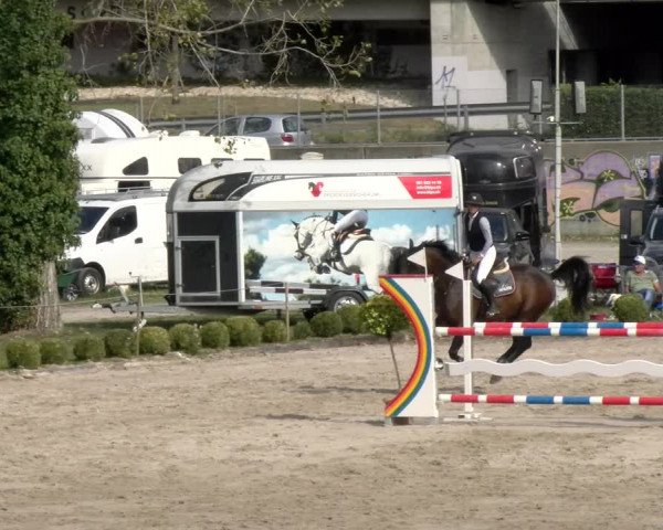 Reitturnier Basel/Schänzli 2023