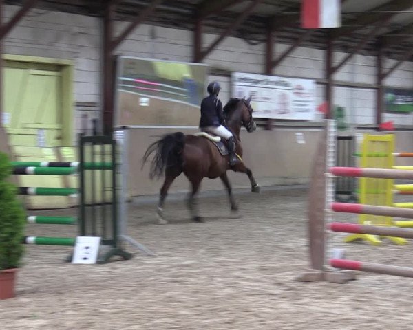 Reitturnier Elisenau 2023